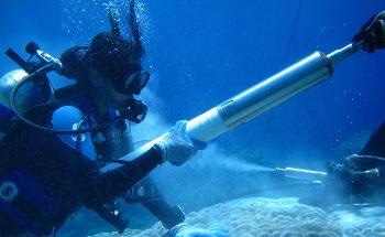 Paleo Proxies Provide Insights on Heat and Freshwater Changes in Indian Ocean