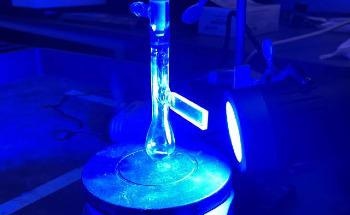 Chemists Take a Vital Step Towards Greener Food Production