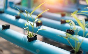 The Waste Product Which Could Help Mitigate Climate Change