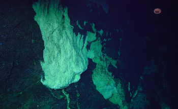 Study Employs Novel Approach to Explore Life Below the Seafloor