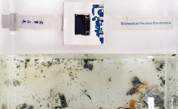 Researchers Develop Dissolvable Electronics to Combat E-Waste Menace