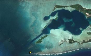 Corallimorphs Dominate and Kill Reefs at Palmyra Atoll