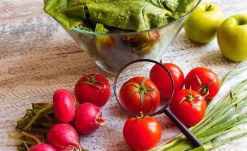 Long-Term Violence Results in the Reversal of Years of Progress on Food Security