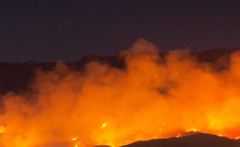 Wildfire Smoke Led to Excess COVID-19 Cases and Deaths