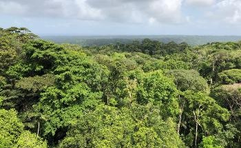 Indigenous Territories Alleviate Climate Change, says Study