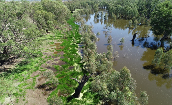 Delivering Water for the Environment in 2021-22
