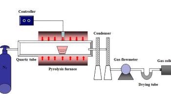 Researchers Use Bio-Oil from Hazelnut as a Renewable Energy Source