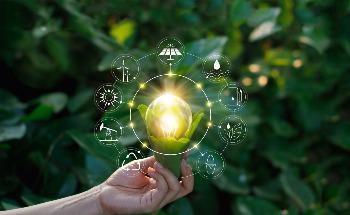 New Study Turns to Engineered Bacteria to Store Renewable Energy