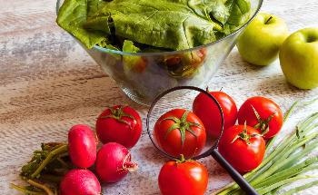 Researchers Discuss Potential Benefits and Drawbacks of a Global Food Panel