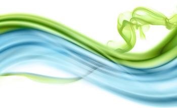 The Social Cost of Carbon Dioxide Under Climate Variability