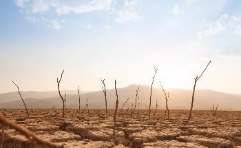 Study Calls for Emergency Action to Limit Global Temperature Increases