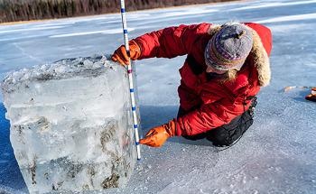 Epson Global Survey Reveals Startling Climate Reality Deficit