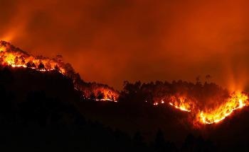 Canadians at Highest Relative Risk of Respiratory Mortality by Wildfire Pollution