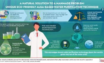 Successful Wastewater Treatment Using Eco-Friendly and Sustainable Algae