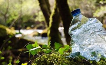 Plastic Pollution Clogs River Systems Longer than Previously Thought