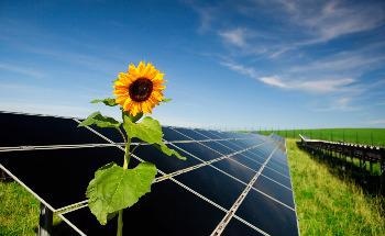 ORNL Shows Increased Focus on Agricultural Decarbonization