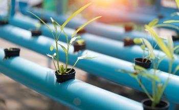 Climate and Geology to Play a Role in Shaping Earth's Biodiversity