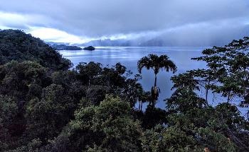 Warning Signs of Ecosystem Collapse Identified in Papua New Guinea Wetland