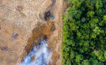 Brazilian Amazon Exposed to Lethal Heat Stress Due to Deforestation, Climate Change