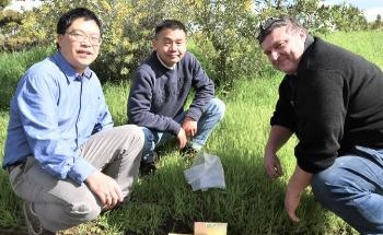 Reducing Plastic in Gardens