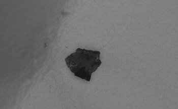 Huge Amounts of Microscopic Paint Flakes Found in the North Atlantic