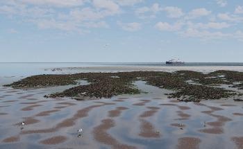 Climate Change May Lead to Tipping Points, Finds Study