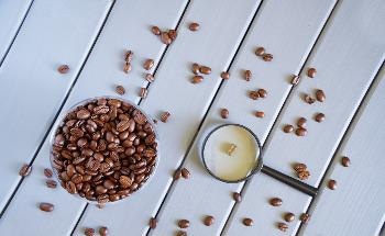 New Effort to Make Honduran Coffee Sustainable Across Environmental, Economic and Social Fronts