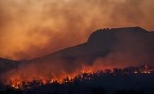 Climate Models Misinterpret Effects of Black Carbon Aerosols from Seasonal Fires
