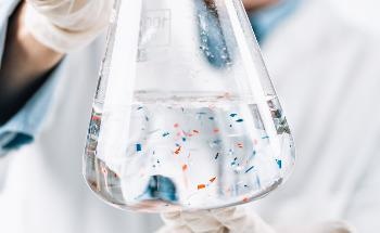 Seabirds Across the Globe Accumulate Plastic's Chemical Components in Their Bodies, Research Reveals