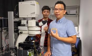 Novel Method to Increase Energy Production from Microalgae
