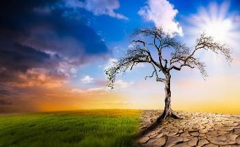 Humans are Highly Responsible for Climate Change, Says Study