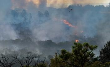 Study Reveals Forest Fires Affect Rain Cloud Formation in the Amazon