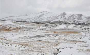Study Models Changes to the World’s Life Zones Caused by Climate Change