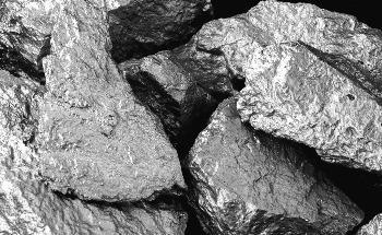 Indigenous ARC Project Hopes to Reverse Decline of Sydney Rock Oyster