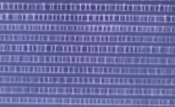 Research Collaboration to Reduce Environmental Impact of Textile Dyeing