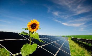 Researchers Explore the Potential of China’s Wind Energy to Produce Low-Cost Green Hydrogen