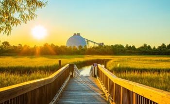 Enviva and J-Power Join Efforts to Decarbonize Power Generation in Japan