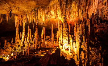 Collapse of Ancient Liangzhu Culture in Early China Attributed to Climate Change