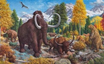Fire Activity Increased in the World’s Grasslands After the Megagrazer Extinctions