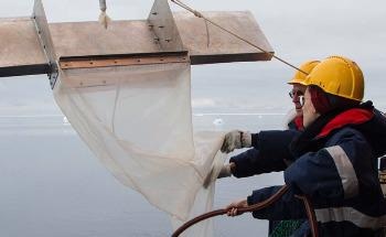 Researchers Analyze the Origins of Microplastics in Antarctica