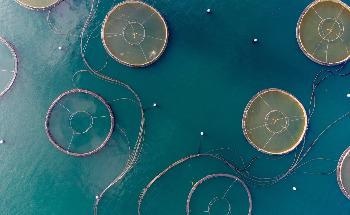 Will Climate Change Impact Future Global Farmed Seafood Supply?