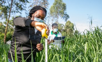 Food Systems Account for One-Third of Global Greenhouse Gas Emissions