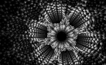 Palladium Nanoparticles Act as Reservoirs for Storing Hydrogen