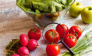 Exploring the Possibilities of a Sustainable Food System