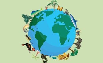 The Importance of Conserving Biodiversity