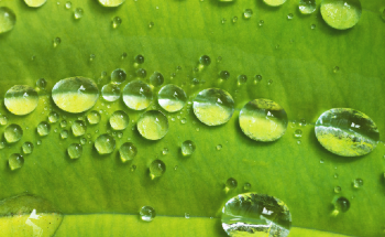 The Importance of Maximizing Blue, Green and Grey Water Usage