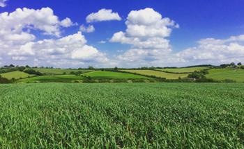 Only 1 in 10 People Recognise Biodiversity Loss as a Major Environmental Threat – Research Reveals