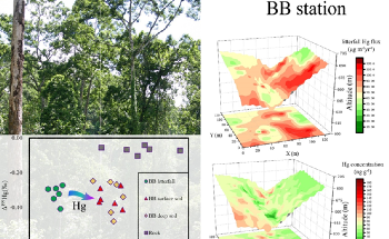 Exploring Hg Mass Balance in Tropical Forests Along a Latitudinal Gradient
