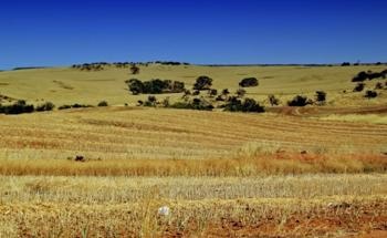 Research Project to Find Herbicide Options for Tackling Resistance
