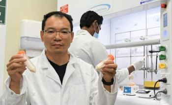 Biodegradable Household Batteries a Step Closer